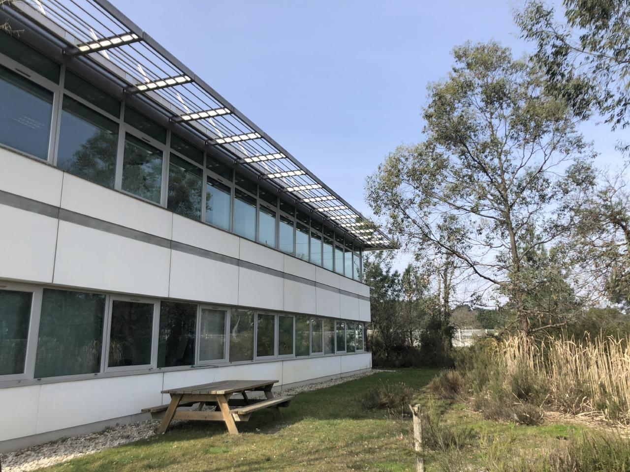Bureau Pessac 616m² Location bureau Pessac Gironde OLBUR2100001 3